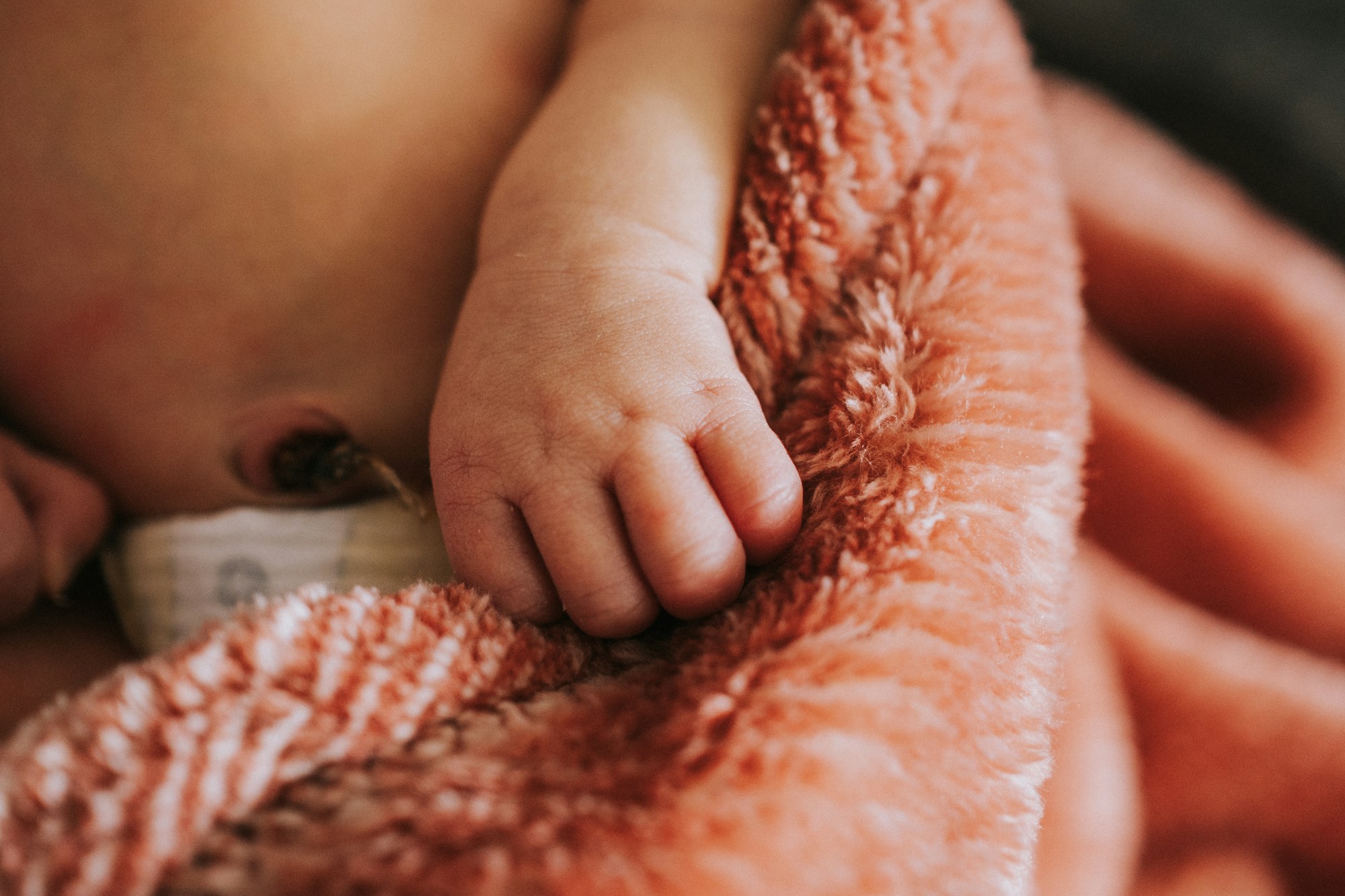 Olymam: Ask anything, anytime